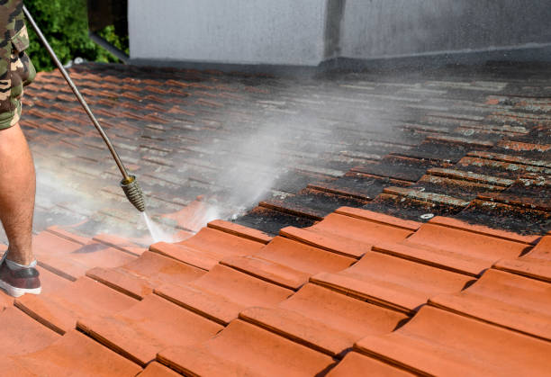 Best Local Pressure Washing Services  in Meraux, LA