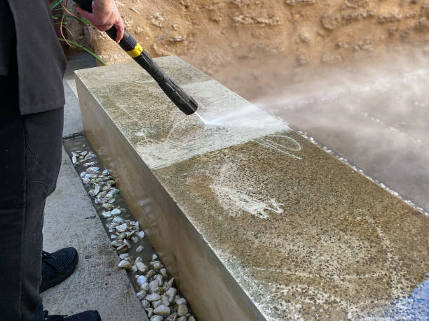 Best Power Washing Near Me  in Meraux, LA